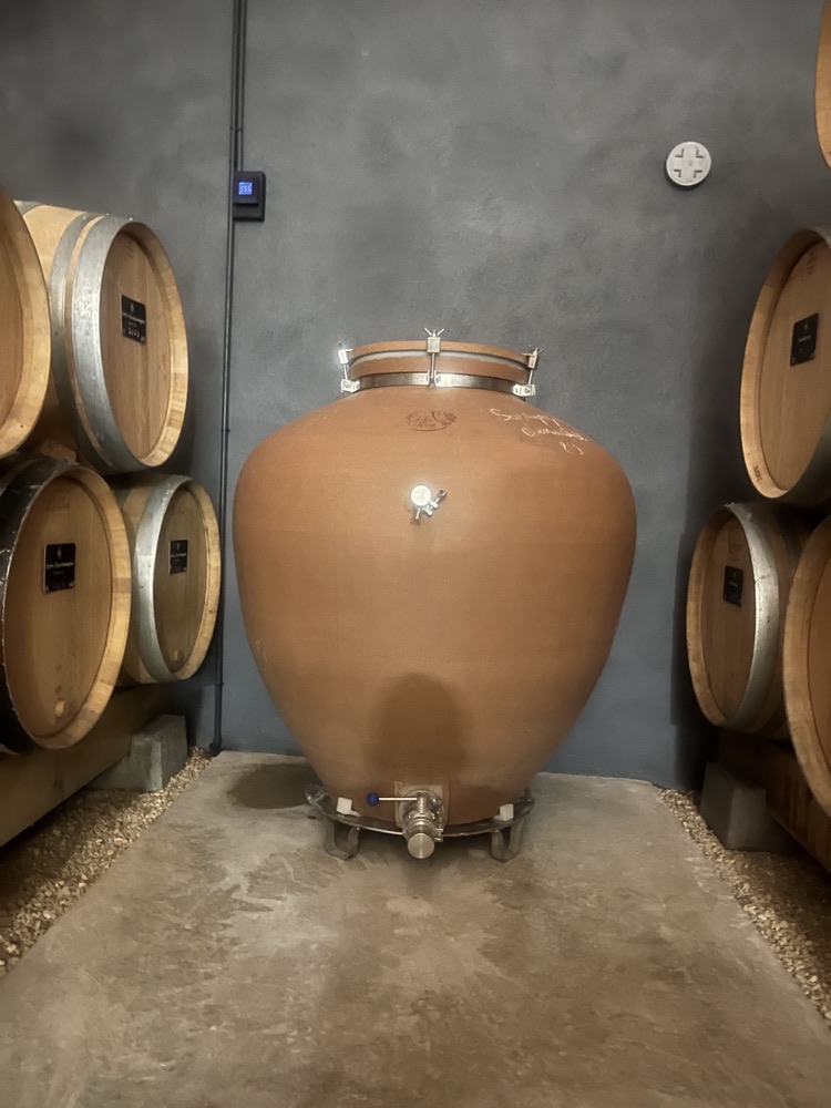 アンフォラ